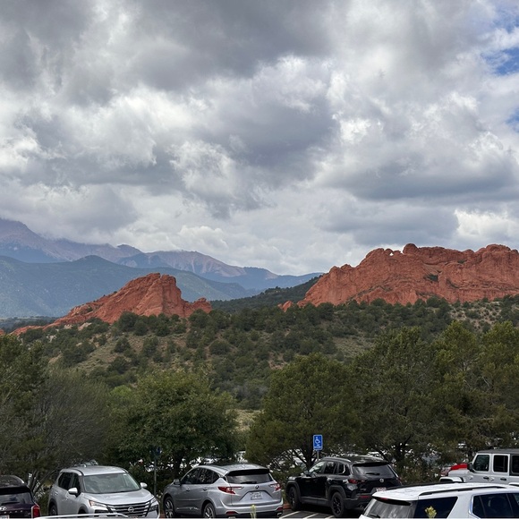 Meet your Posher, Marley - Picture 7 of 11